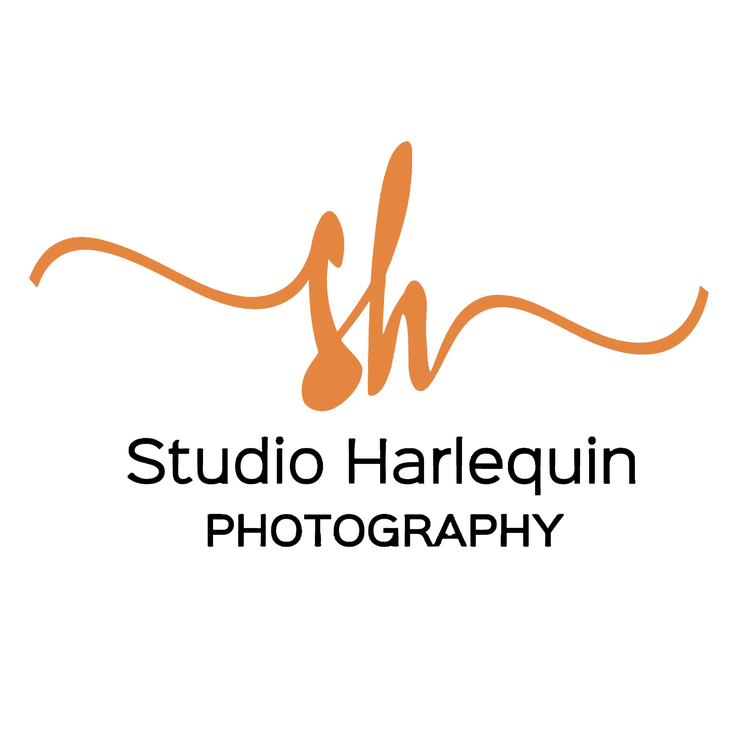 Instant form site logo
